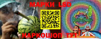 бошки Сланцы
