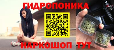 шишки Славянск-на-Кубани