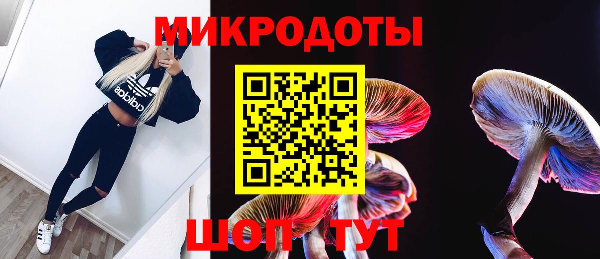 Галлюциногенные грибы GOLDEN TEACHER  Псилоцибиновые грибы прущие грибы  Саратов  Вход с VPN 